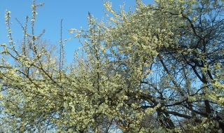 Седмицата завършва със слънце