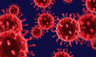 "Доматен грип" - Нов, силно заразен вирус е регистриран в Индия