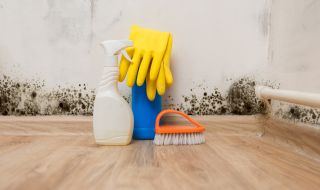 Как да се отървем от упорития мухъл 