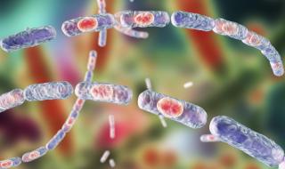 Над 70 души приети в болница с подозрение за антракс