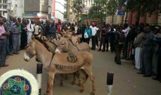 Магарешки протест в бизнес района на Найроби