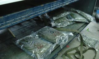 106 кг марихуана хванаха митничари на ферибот Оряхово