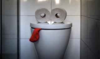 Умна тоалетна ви предупреждава за хемороиди