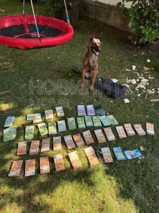 300 000 евро са открити в домовете на задържани заради лабораторията за фентанил в София 