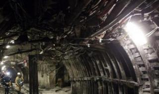 Незаконните въглищари вече ще влизат в затвора