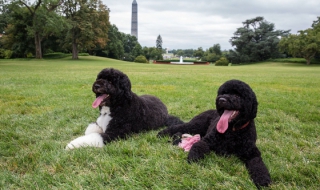 Семейство Обама с нов домашен любимец