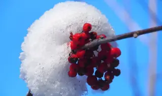 Времето днес, прогноза за вторник, 30 декември: Остава много ветровито