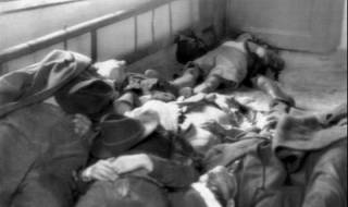 23 октомври 1956 г. Унгария въстава срещу СССР