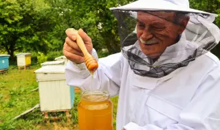 10 февруари - Ден на пчеларя
