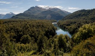 Горите в Аржентина намаляват заради ниските глоби
