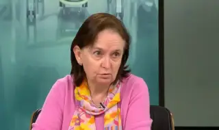 Д-р Мими Виткова: Обърнахме здравеопазването на пазар, болниците в търговски дружества, а лекарите в търговци