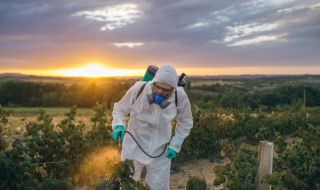 Внимание, вредни пестициди: концерни крият изследвания