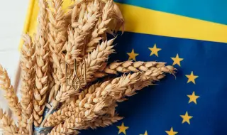 През последните две години Украйна успешно е изнесла 136 млн. тона стоки през европейските коридори на солидарност