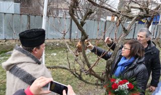 Нинова заряза ритуално лозите в Лесново