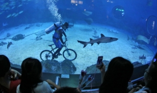 9 август: Светът в снимки