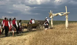 Ниски изкупни цени обричат зърнопроизводителите на фалит. Не може две фирми да определят цената 