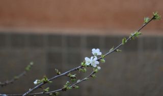 Слънчева, но хладна неделя