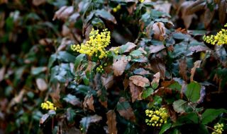 Времето днес, прогноза за неделя, 9 април: Остава облачно и с валежи