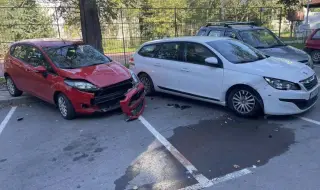 A young woman from Varna swept three cars to avoid running over a cat 