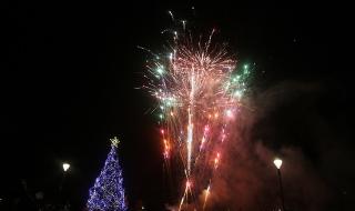 Горските погнаха незаконната продажба на елхи