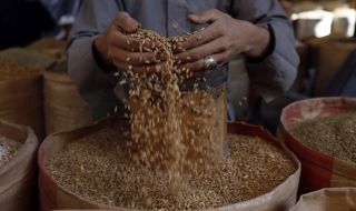 Милиони тонове неизползвано зърно са блокирани в Украйна