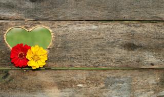 Момиченце на 8 години дари пари на болница