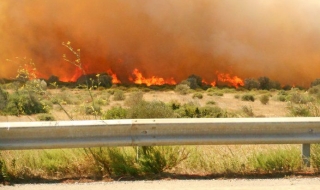 Горските пожари в Южна Франция излязоха извън контрол