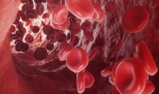 Сензационно откритие в човешка кръв