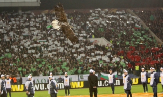 Феновете: Ако паднем от Малта, да спрем с футбола