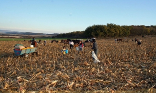 Българският селянин - изчезващ вид