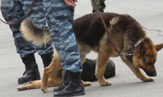 Близо 2 000 евакуирани от Рижкия пазар заради бомба (Видео)