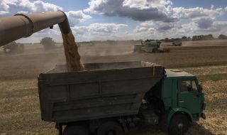 Родните зърнопроизводители пред фалит заради Украйна