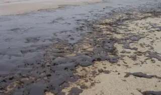 МОСВ: Плажът край Варна е почистен от нефтопродукти