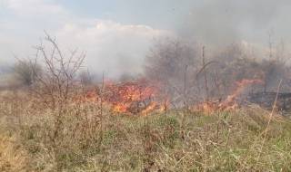 Огромен пожар в Кюстендилско