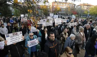 Заради прегазеното куче Мая: Протест пред ВМА ще настоява д-р Цоневски да бъде отстранен от работа