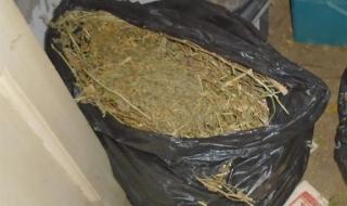Иззеха килограм марихуана от мъж в Севлиевско