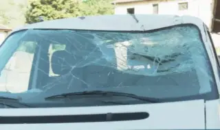 Дърво падна върху движещ се автомобил край Джебел
