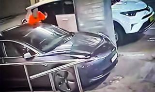 Собственичка на Tesla хвана крадци със смартфона си