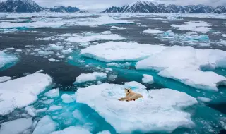 Експерти: ЕС трябва да ускори адаптацията към климатичните промени