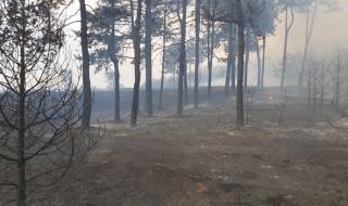 Потушиха пожарите в Хасковско