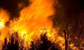 Пожар избухна край автомагистрала "Тракия"