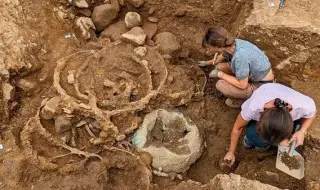 В Англия откриха останки от първите четириколесни каруци от желязната епоха