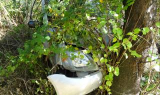 23-годишен разби лек автомобил в дърво във Видинско посред нощ