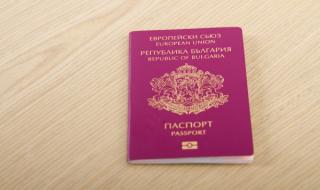 В Босна задържаха имигранти с български паспорти
