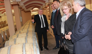 Залагат 250 млн. лв. за лозаро-винарския сектор в периода 2014-2018