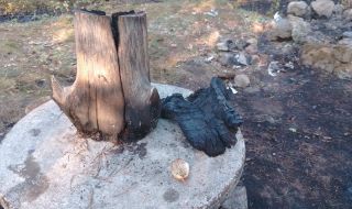 Барбекю предизвика пожар в Кюстендилско