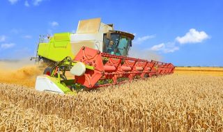 Хлябът поскъпва! Сложната ситуация в Черно море повиши цената на пшеницата