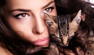 9 девет причини, които моментално ще ви накарат да си вземете котка