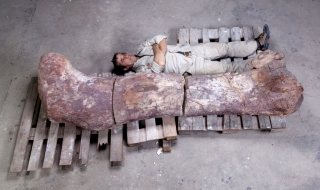 Откриха останки от най-големия динозавър, живял някога на Земята