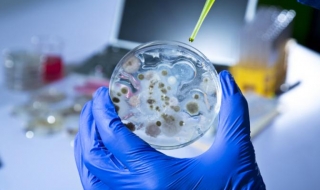 Бактерия – убиец пълзи по плажовете на САЩ и Средиземно море